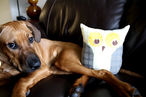 Nesting… Literally! Sewing the Lola Owl Pillow