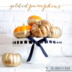 Easy DIY Fall Decor: Gilded Pumpkins