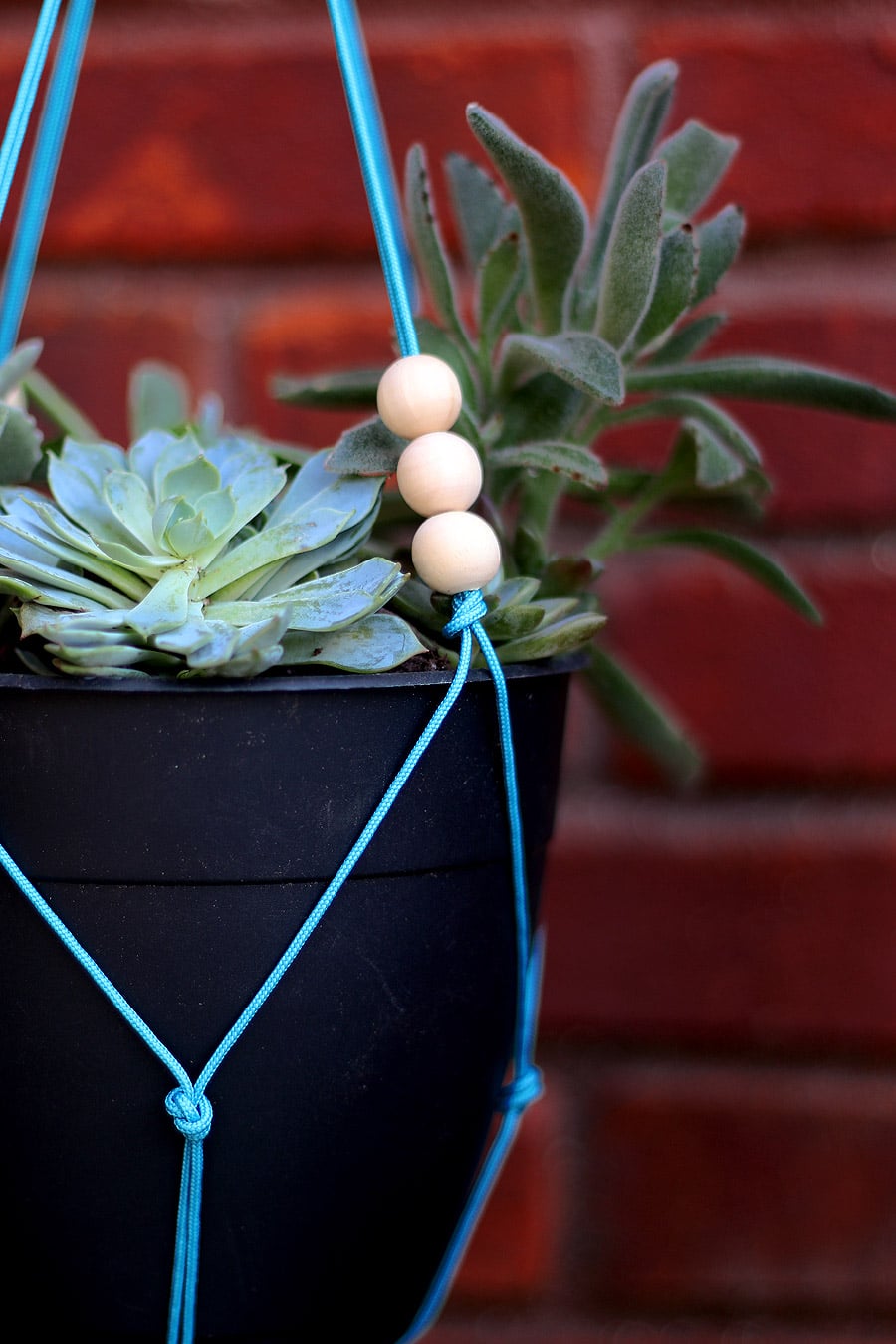 How to build a DIY hanging planter | Jen Woodhouse