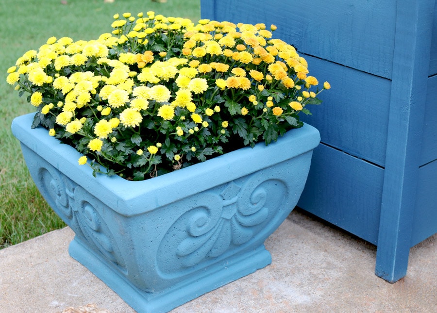 How to paint a cement planter with Chalk Paint® by Annie Sloan