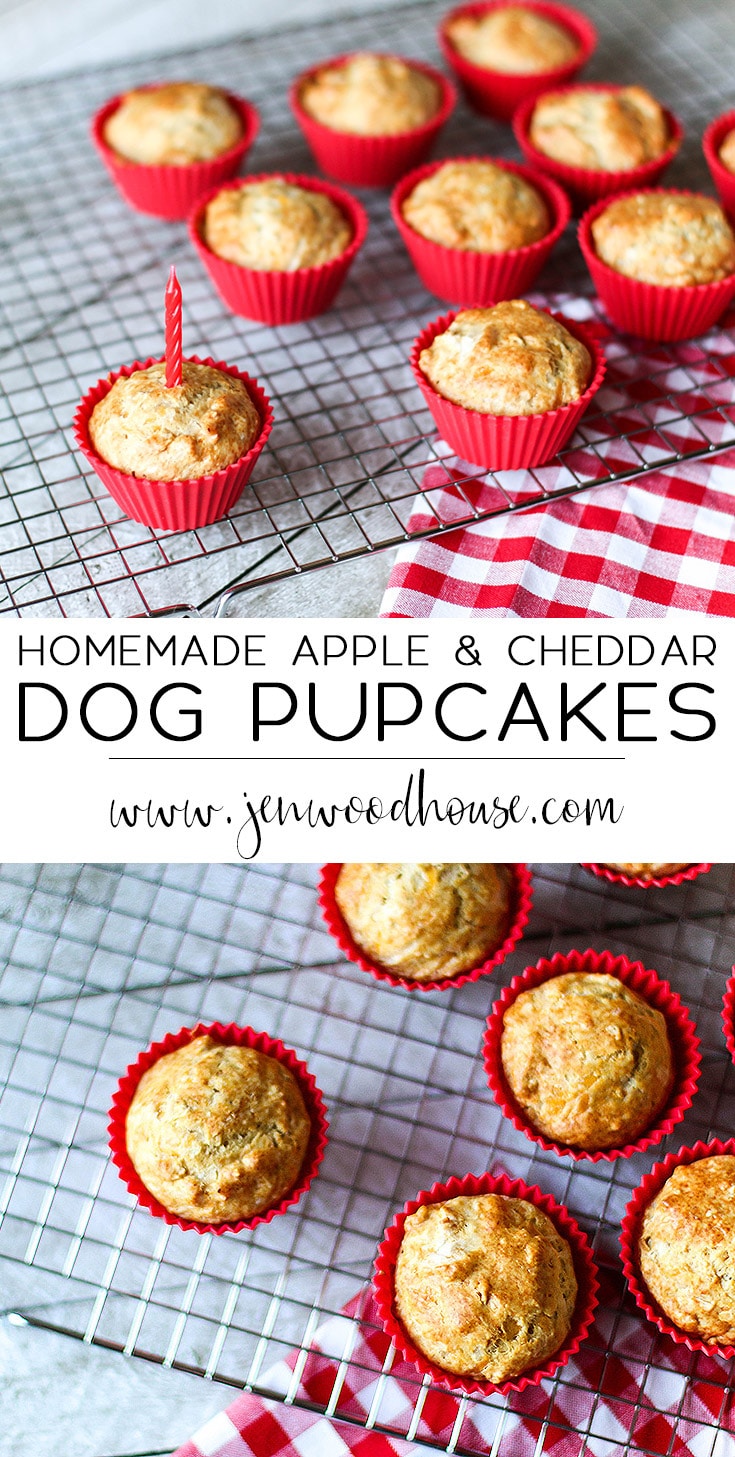 Homemade Apple and Cheddar Dog Cupcakes (Pupcakes!) | www.JenWoodhouse.com