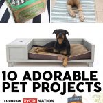 10 Awesome Eat & Sleep Pet Projects