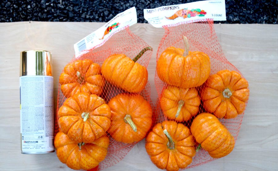 gilded pumpkins