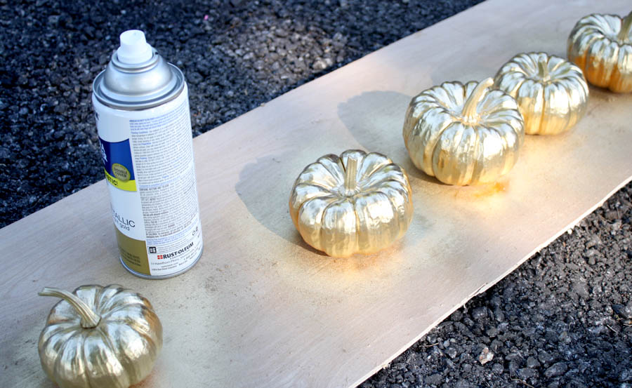 gold pumpkins