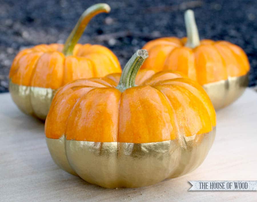 gold dipped pumpkins