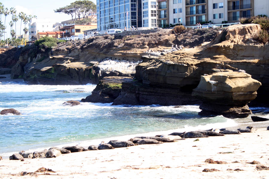 la-jolla-cove-2