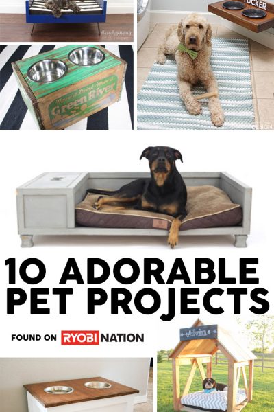 10 Adorable DIY Pet Projects for your favorite fur baby!