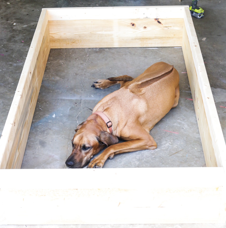 How to build a DIY Rustic Bookshelf - step one: Build the box