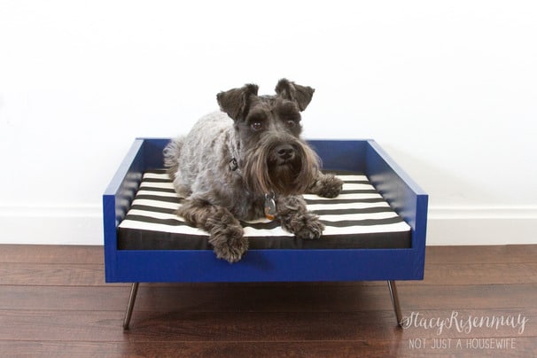 Shanty 2 2024 chic dog bed