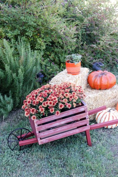 Perfect for Fall outdoor decor! How to build a rustic wheelbarrow.