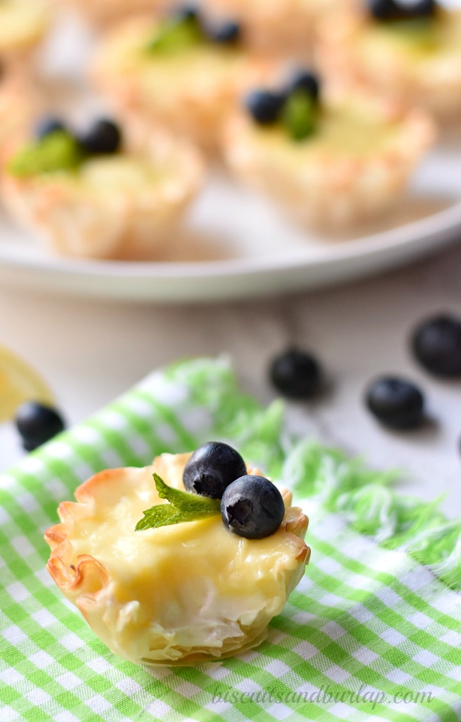 Blueberry Lemon Cheesecake Tarts Recipe