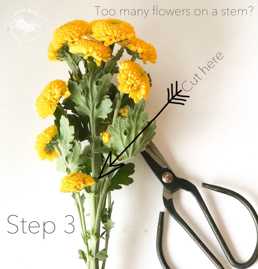 Floral Design 101: Learn basic principles to create beautiful