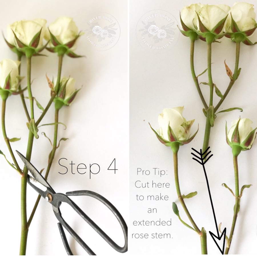 Floral Design 101 Learn basic principles to create beautiful bouquets.