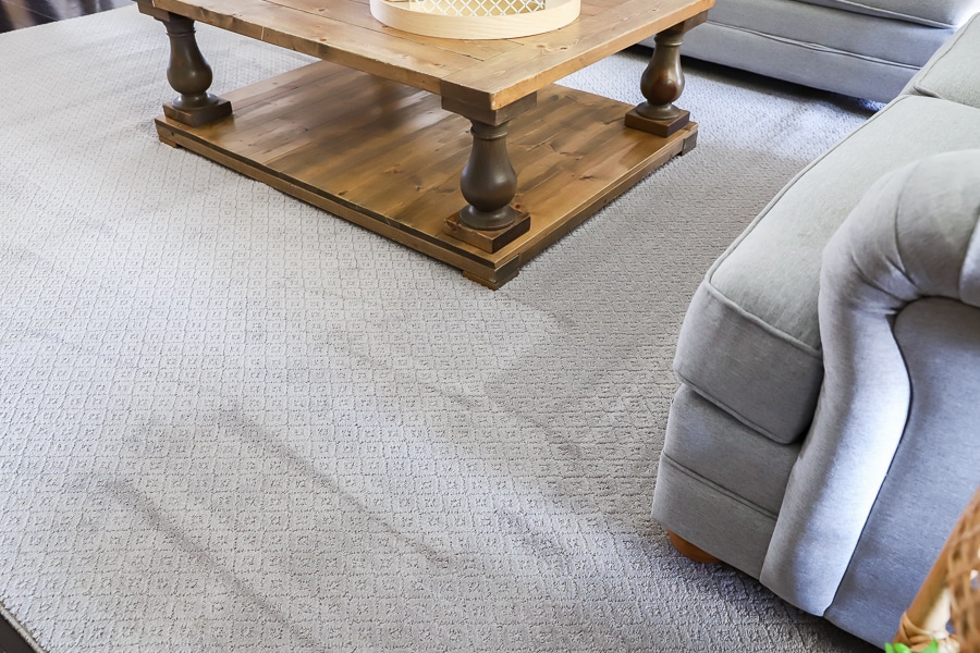 Pet Friendly Carpets and Rugs