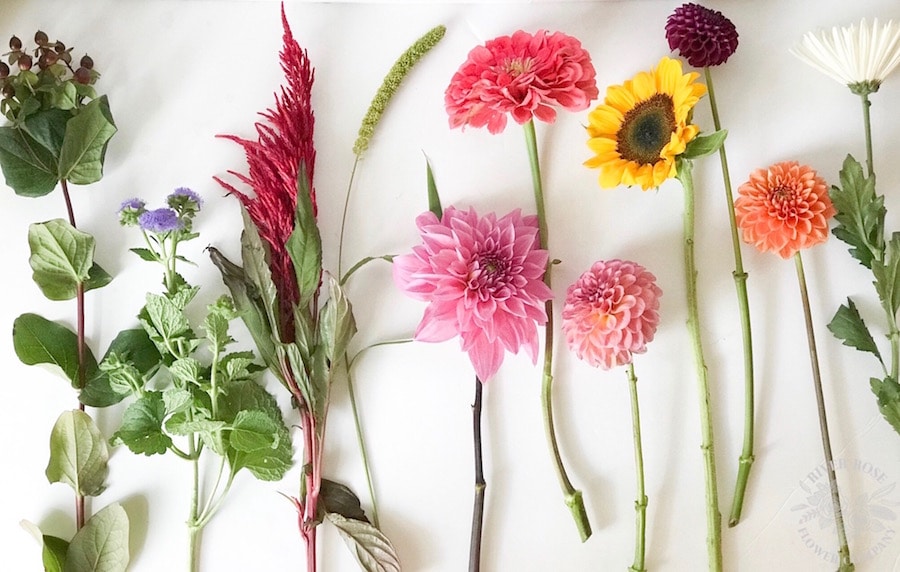 Burgundy and Blush Fall Centerpiece | Carrie Bishop River Rose Flower Co + Jen Woodhouse