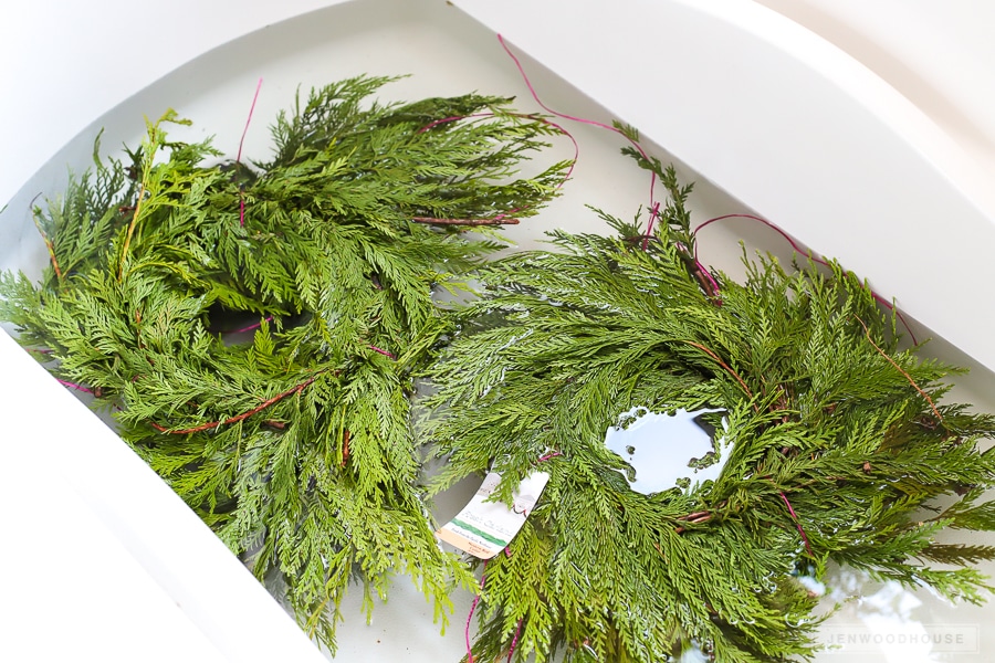 Fresh Cedar Branches Fresh Christmas Greenery Fresh Evergreen