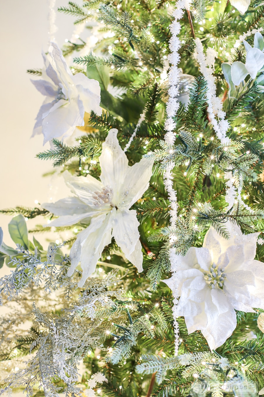 White poinsettias on Christmas tree