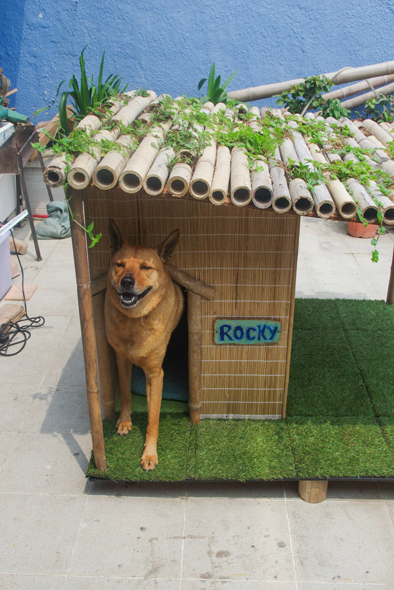 13 Diy Doghouse Plans And Ideas The House Of Wood