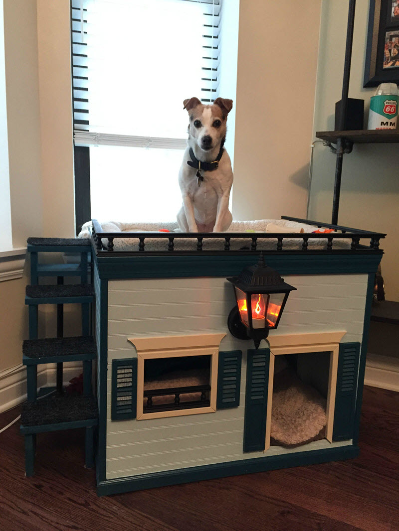 DIY Dog Houses 13 