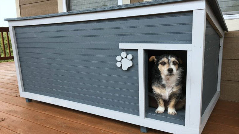 13 Diy Doghouse Plans And Ideas The, Double Door Dog House Plans