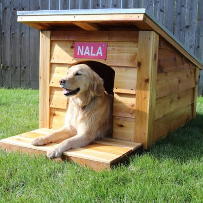 13 DIY Doghouse Plans and Ideas