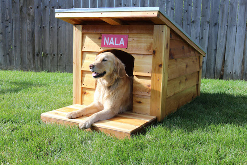 Dog house in store wood