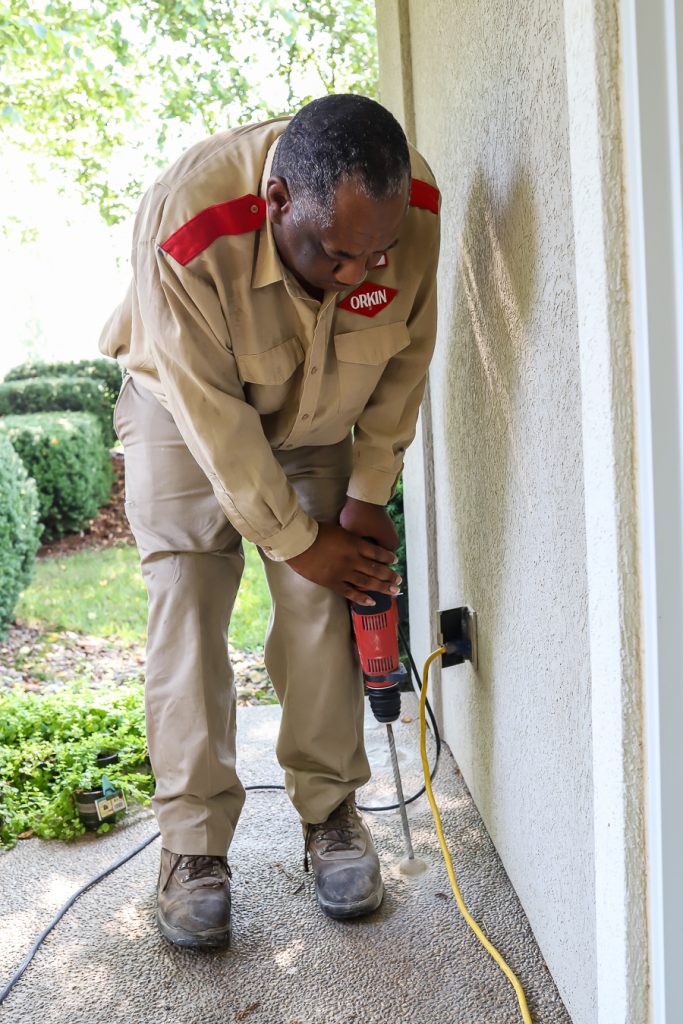 How To Protect Your Home From Termites - Termite Prevention Control