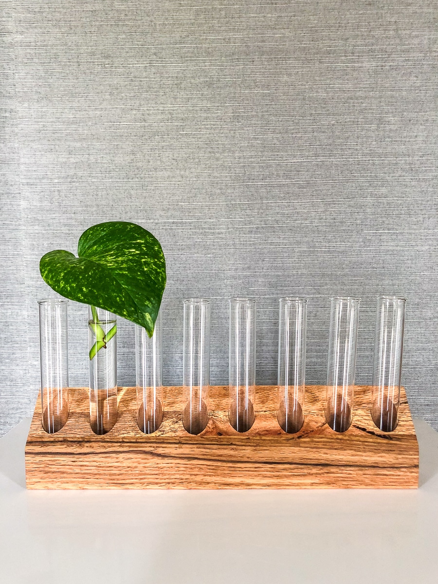 PROPAGATION STATION - Test Tube