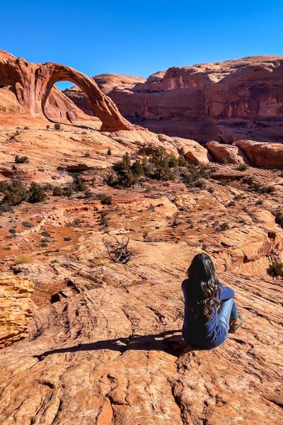 Reflecting on stewardship and creativity in a new season