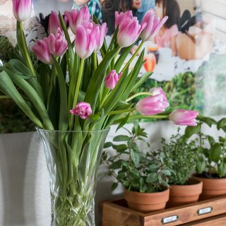 Decorate for Spring by adding a vase of tulips to your shelf