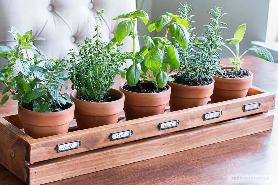 How to make a DIY herb garden