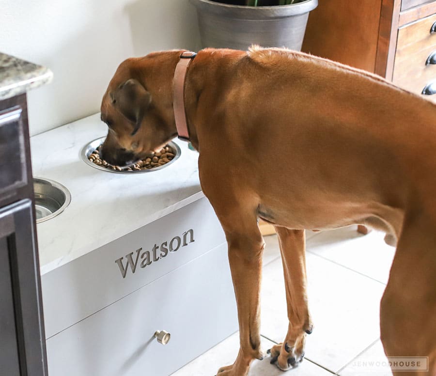 DIY Dog Food Station with Storage - Addicted 2 DIY