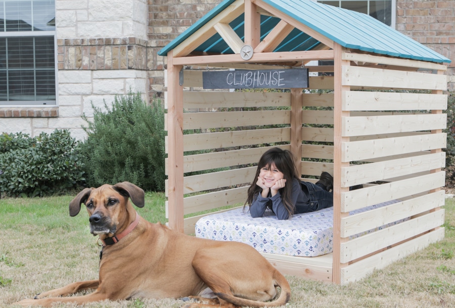 Dog house kits for hot sale sale