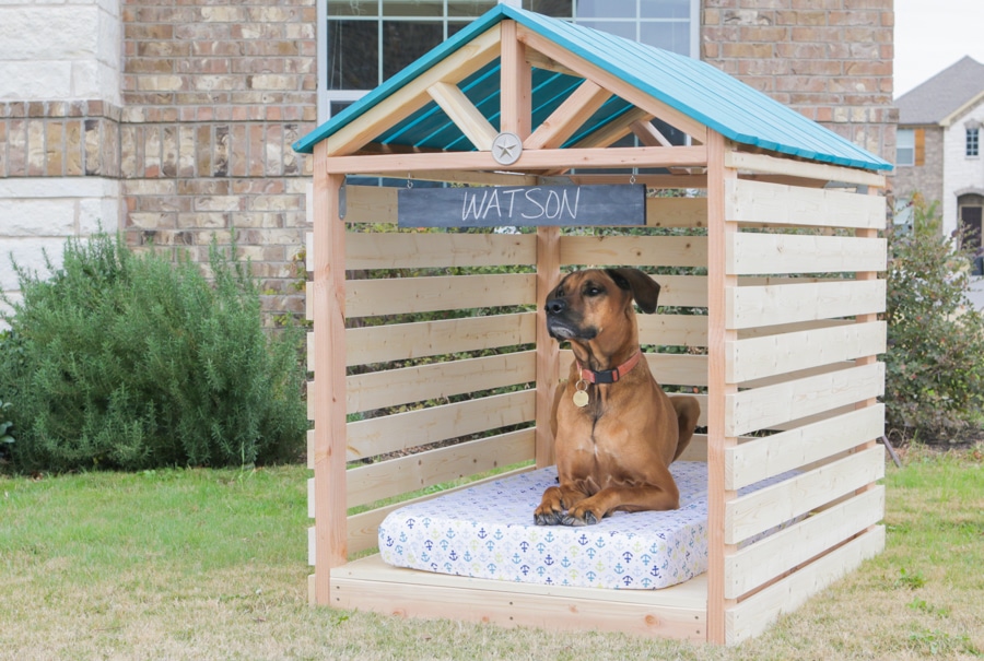 easy dog house