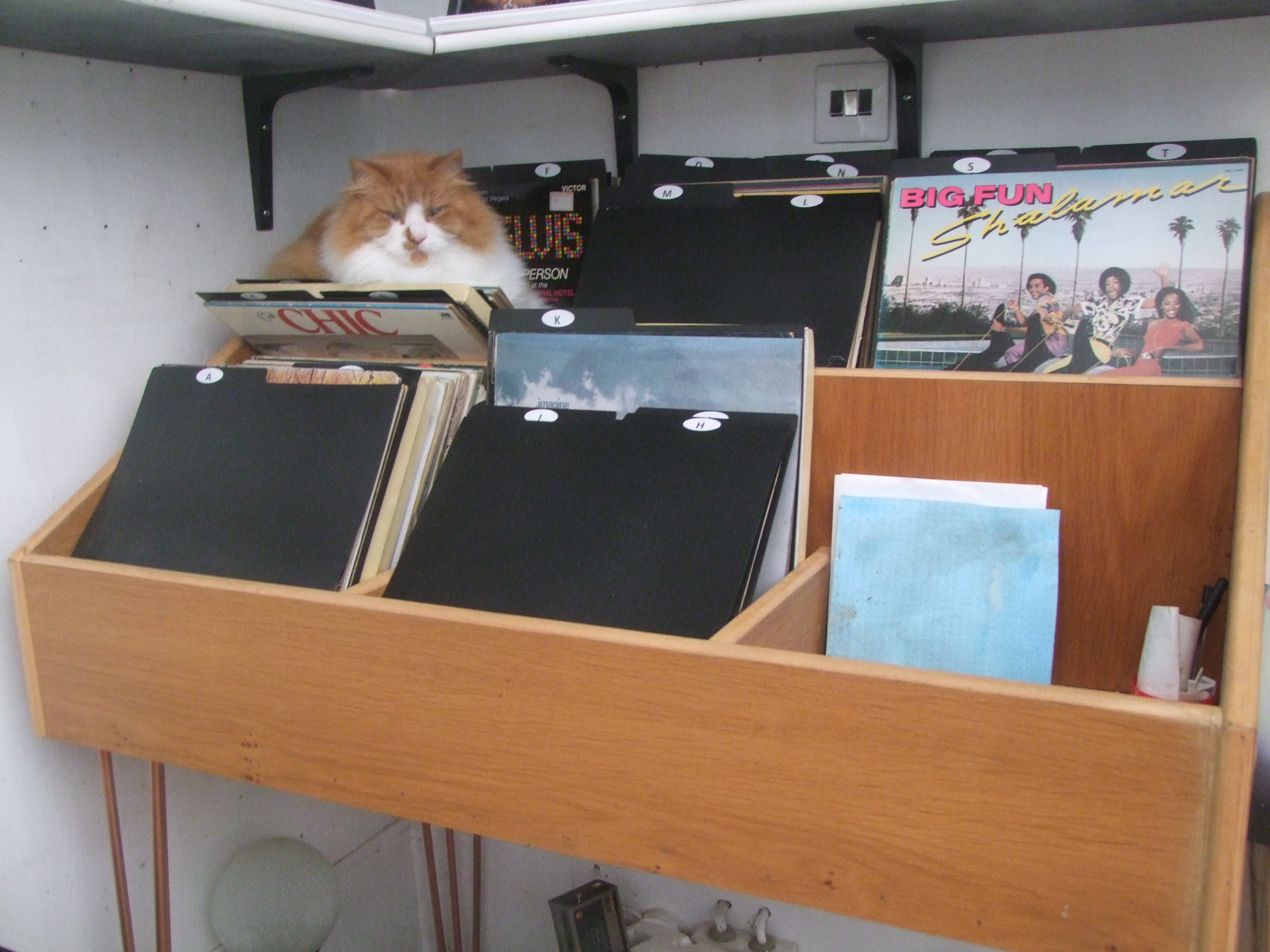 VINYL RECORD DISPLAY & STORAGE