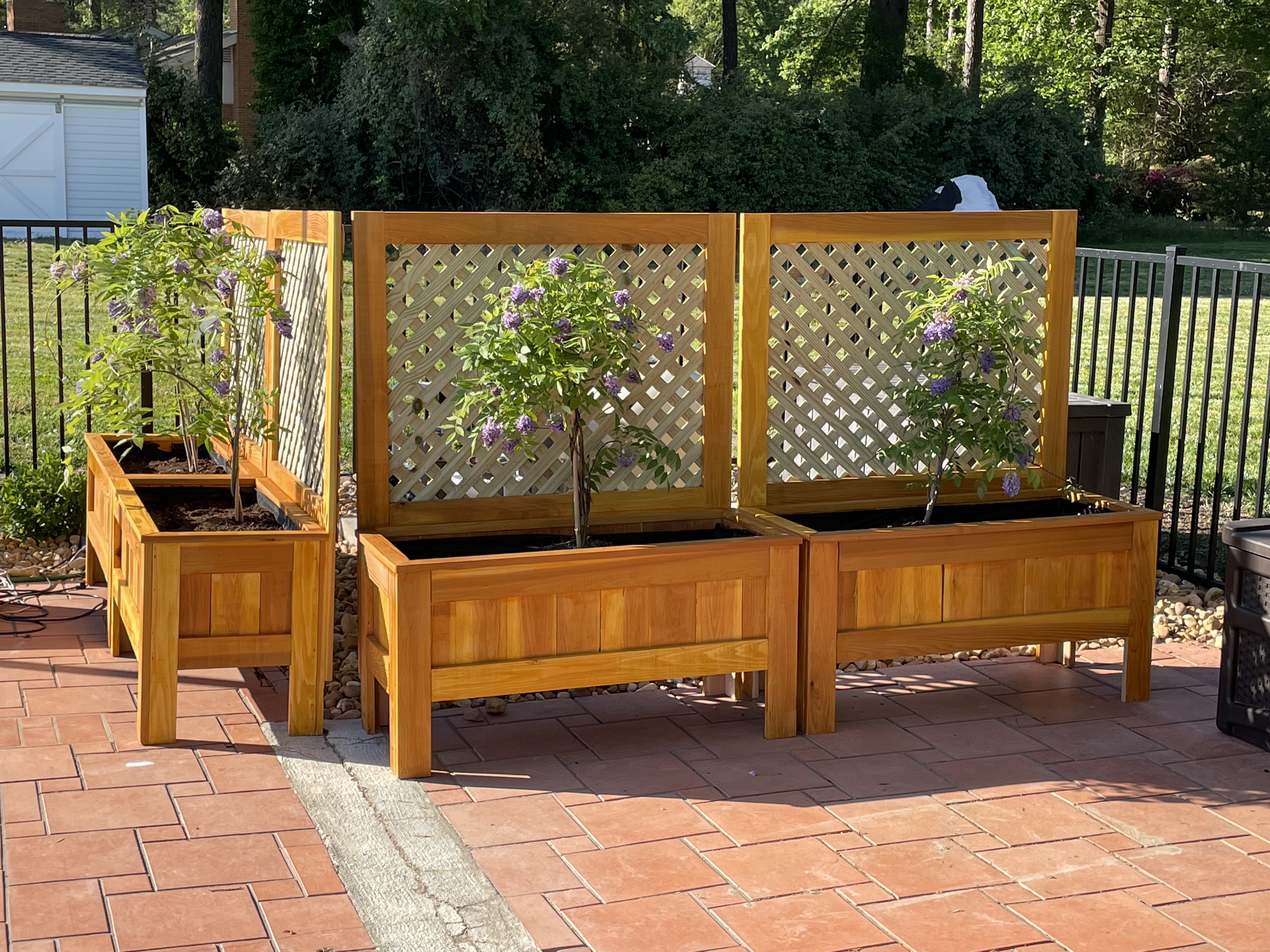 pool planters with trellis