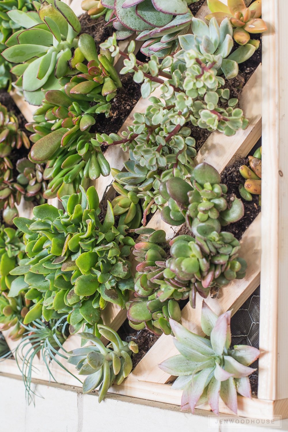 DIY-vertical-succulent-garden