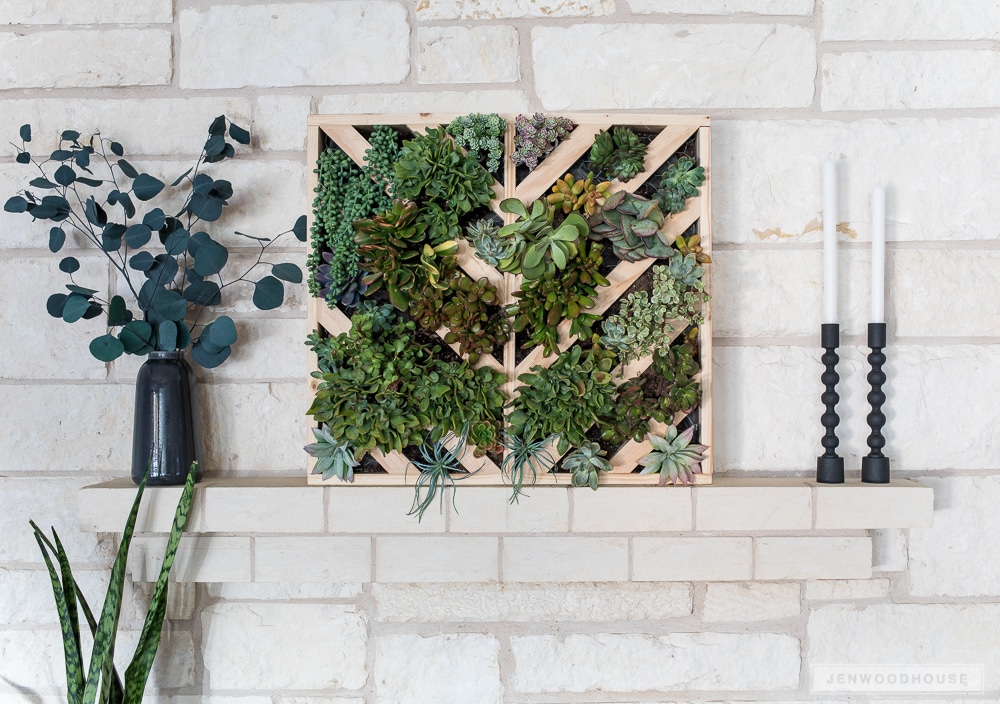 How to create a vertical succulent garden