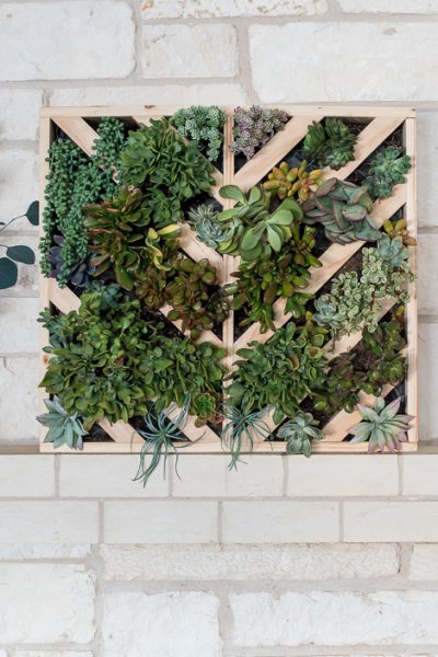 How to make a DIY vertical wall hanging succulent planter
